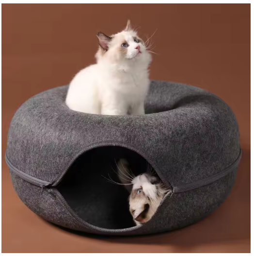 Cat PawDonut Tunnel